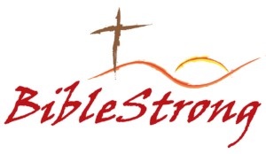 Bible Strong 316